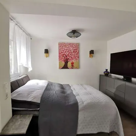 Apartment Bei Der Palme Mit Sauna Möglichkeit Düsseldorf